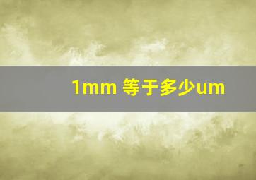 1mm 等于多少um